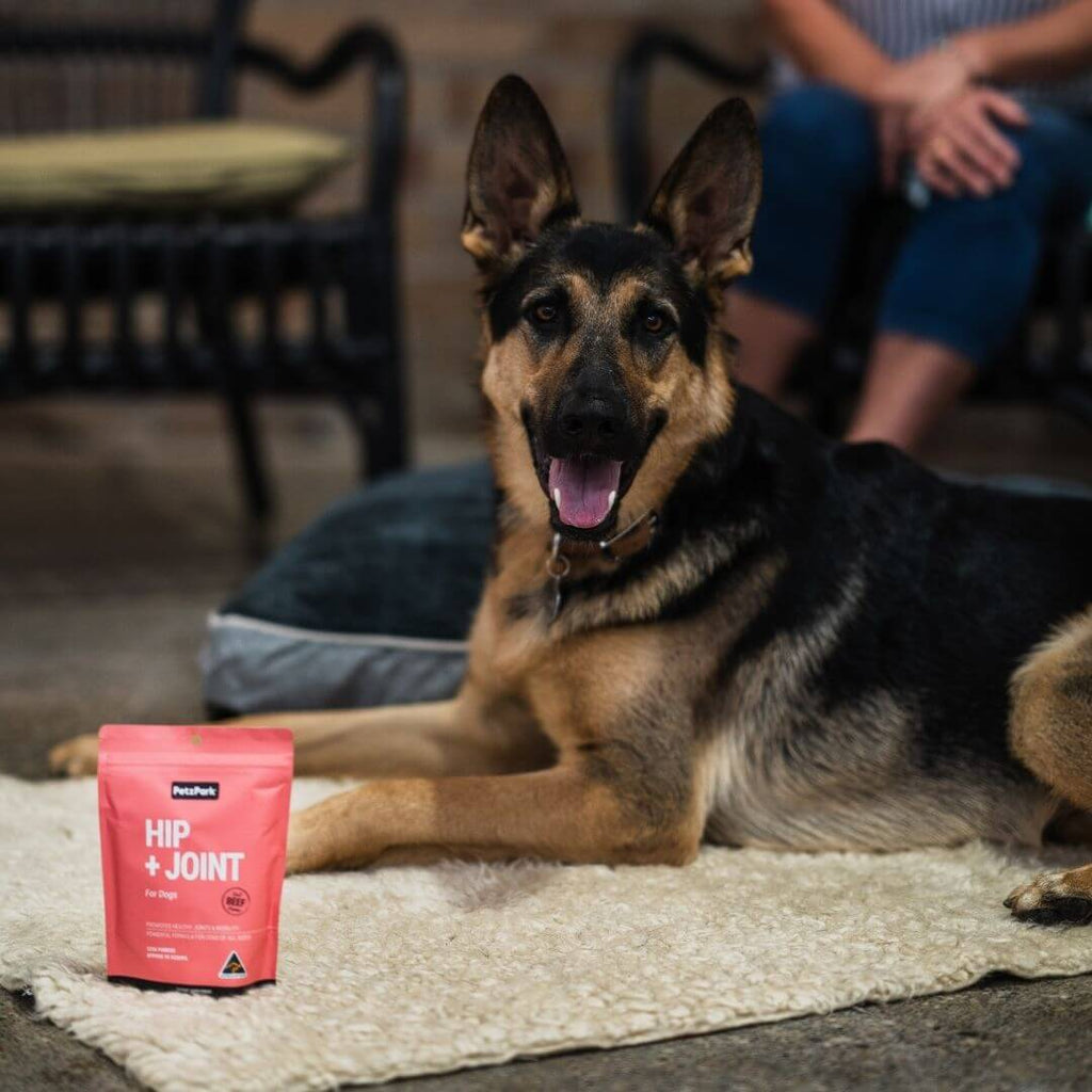 Best hip and joint new arrivals supplement for german shepherd
