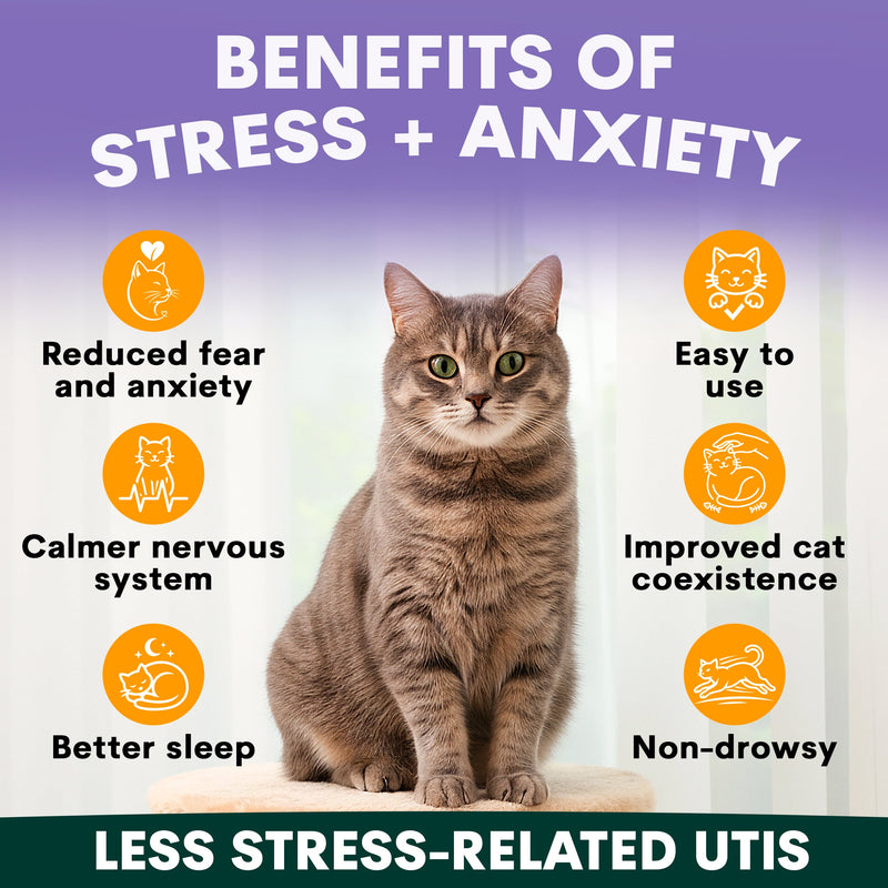 Cat Calming Supplement for Anxiety Stress Relief Vet