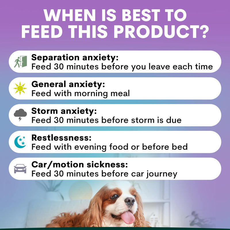 Separation What Can I Give My Dog For Anxiety Dog Calming Product