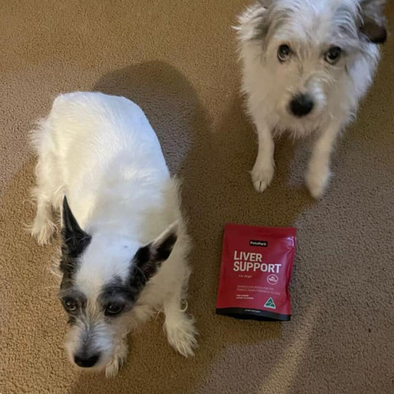 two dogs with a pack of liver support supplement