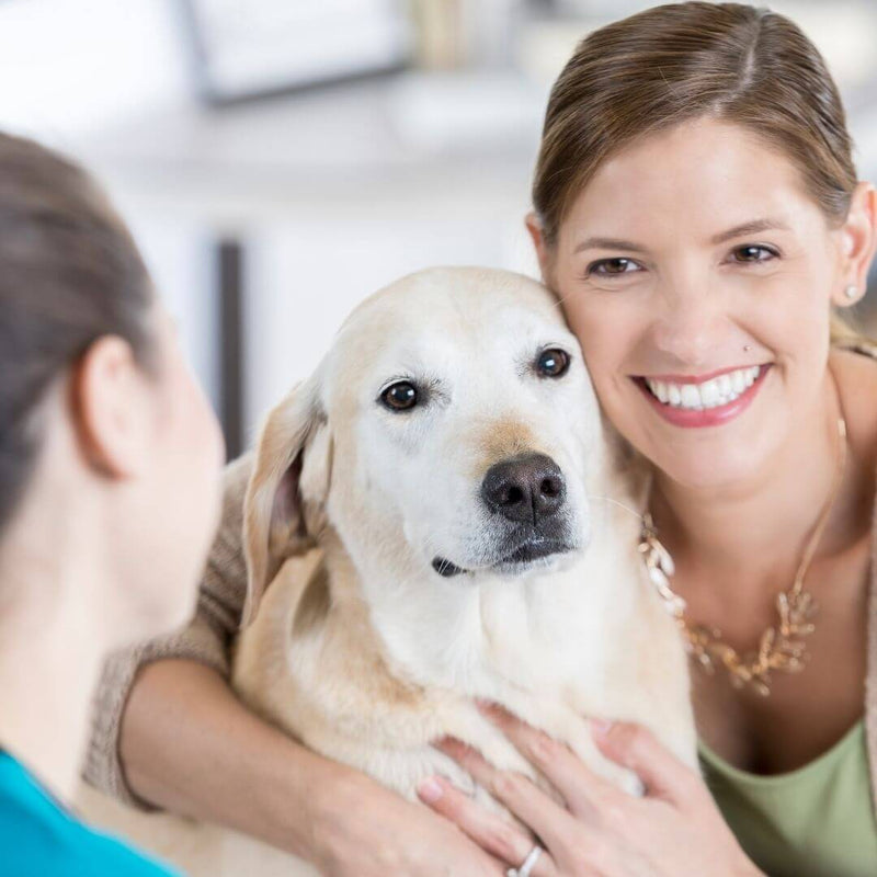 are dog supplements safe, should I give my dog supplements, hip and joint, omega 3, stress and anxiety