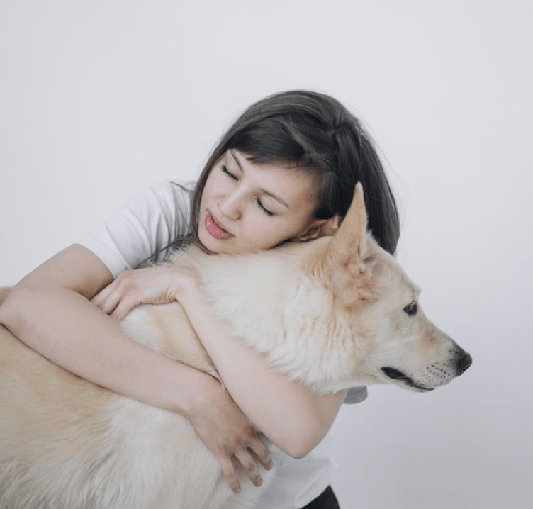 dog vomiting treatment, disease and cure