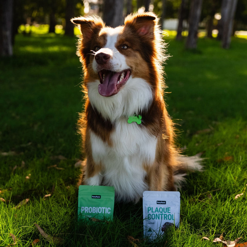 petz park vs mighty munch dog supplements