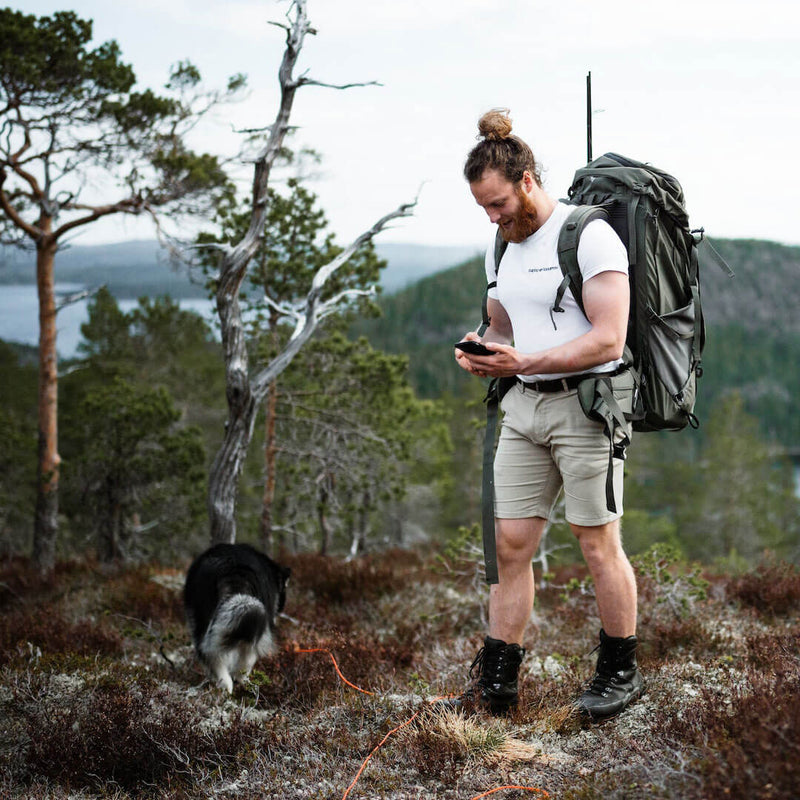 Spring Activities With Dog