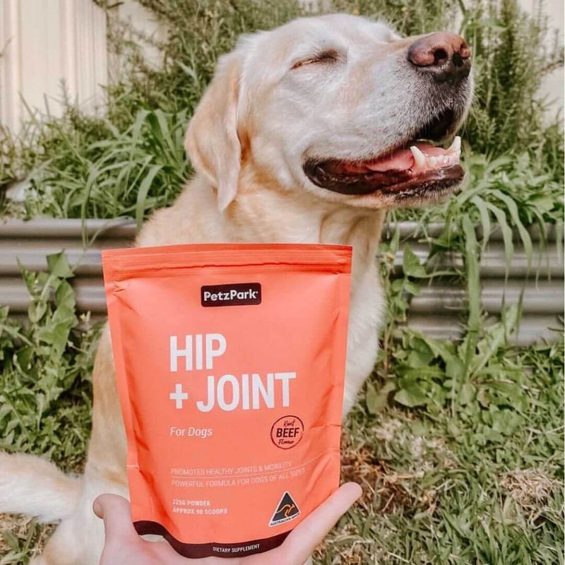 dog with joint problems, joint supplements for dogs