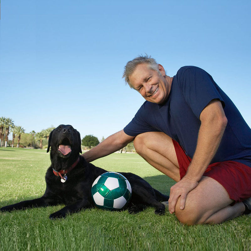 8+ Best Dog Parks in Brisbane