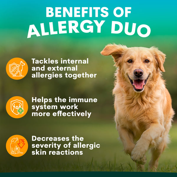 Dog running in a field with text about the benefits of Allergy Duo on a green background