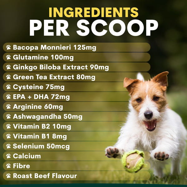 Dog playing with a ball, with a list of ingredients per scoop on a green background