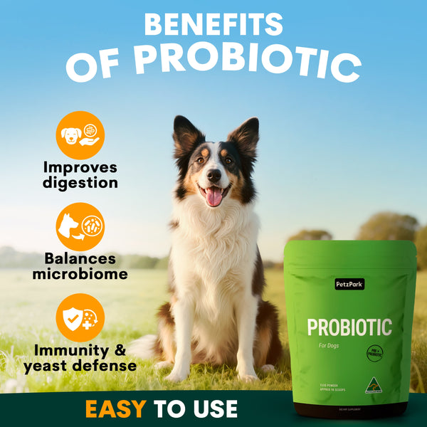 Dog Health Supplements Total Package | Petz Park Dog Health Supplements Total Package | Petz Park