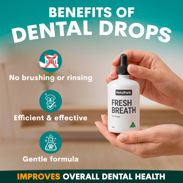 Hand holding a bottle of Petz Park Fresh Breath dental drops with text highlighting benefits on a blurred background.