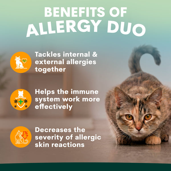 Cat on a table with text about the benefits of an allergy duo product.