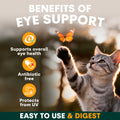 Cat looking at a butterfly with text about eye support benefits on a blurred natural background