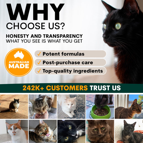 Advertisement for a pet product brand with images of cats and text about honesty, transparency, and customer trust.