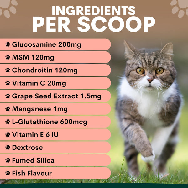 Cat walking outdoors with a list of supplement ingredients per scoop on a pink background