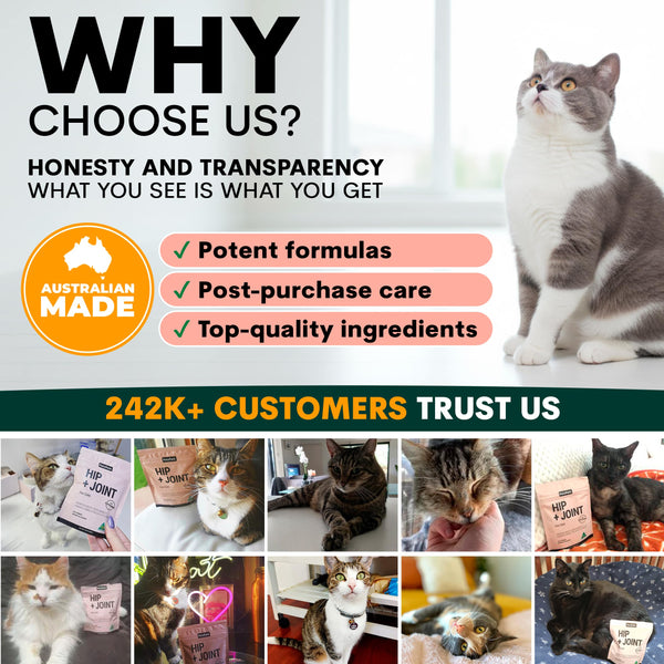 Promotional image for a pet product brand with a cat and text about honesty, transparency, and customer trust.