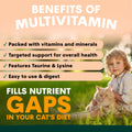Benefits of cat multivitamin