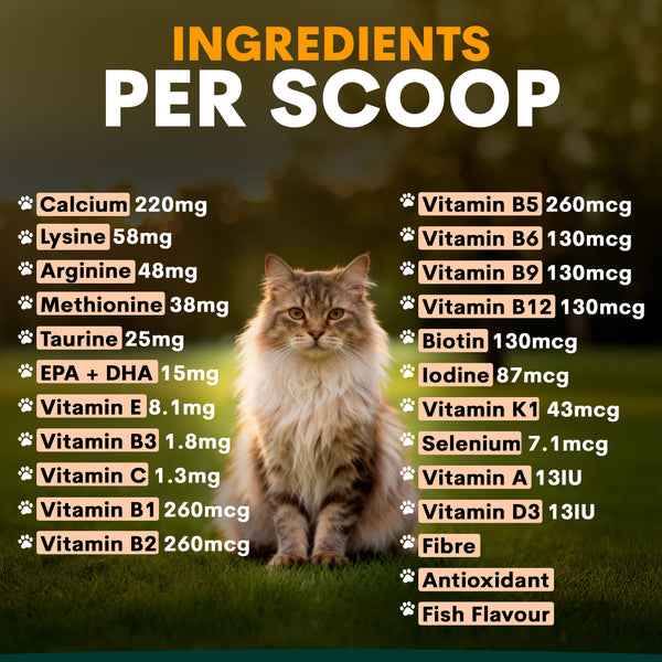Cat Multivitamin Ingredients
