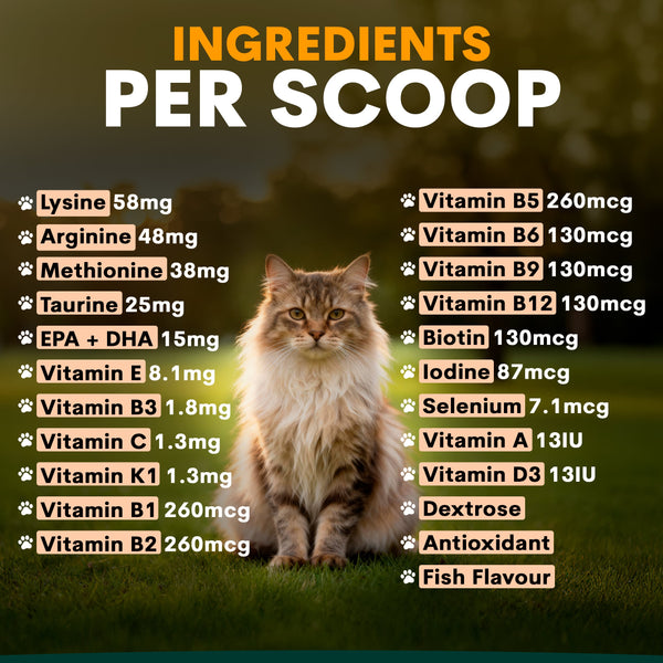 Ingredients for Cat Multivitamin containing Lysine and Taurine