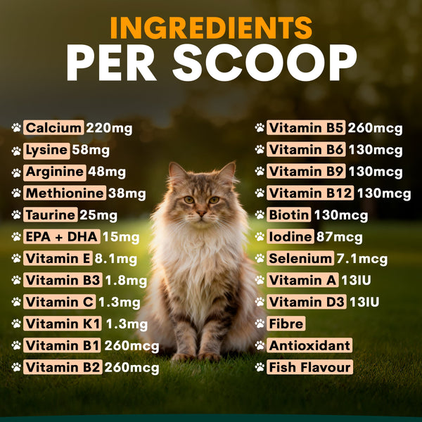 Cat sitting on grass with a list of ingredients per scoop displayed