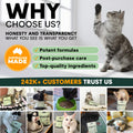 Probiotic for Cats