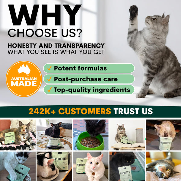 Promotional graphic for a pet product brand with images of cats and text highlighting features and customer trust.