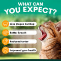 Cat with open mouth showing teeth, with text about dental care benefits on a green background. what to expect from using petz park plaque control
