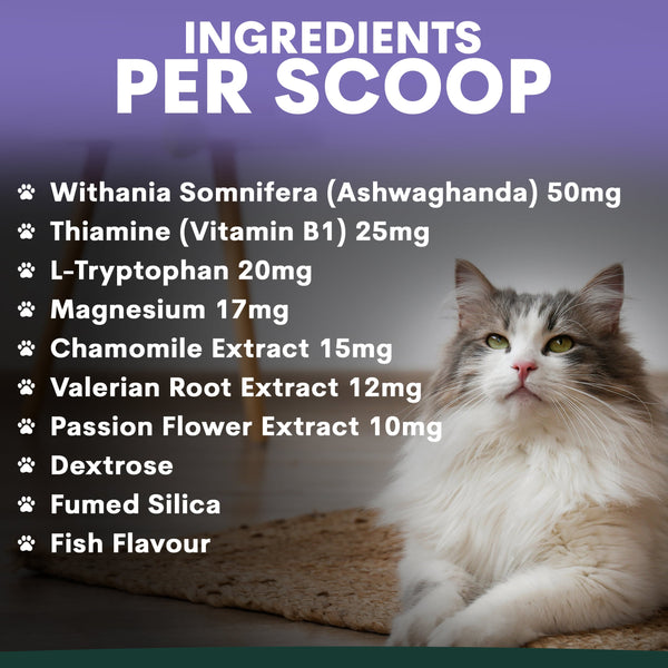 Cat sitting on a mat with a list of ingredients per scoop displayed above it. Stress and anxiety for cat supplements ingredients