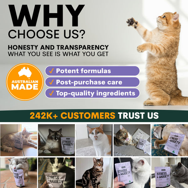Promotional graphic for a pet product brand with a cat and text about honesty, transparency, and customer trust.