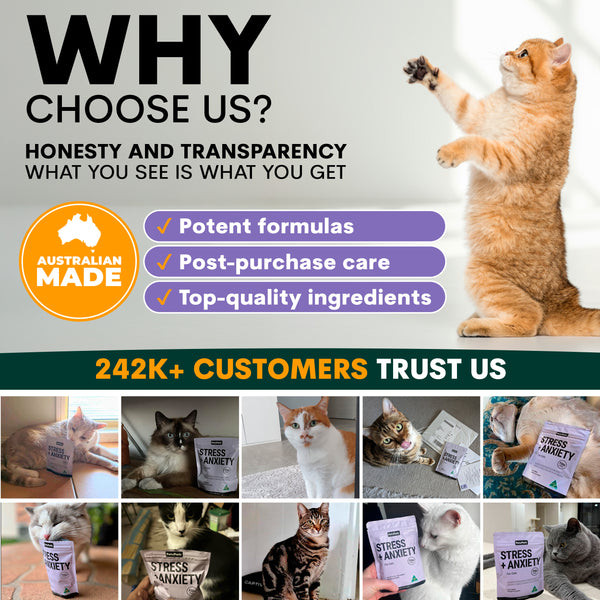 Promotional graphic for a pet product brand with a cat and text about honesty, transparency, potent formulas, post-purchase care, top-quality ingredients, and customer trust.