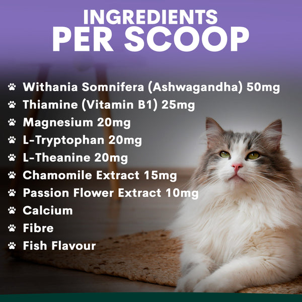 Cat sitting on a mat with ingredient list for a supplement product on a purple background