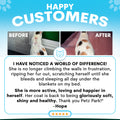 Before and after comparison of a cat with text praising Petz Park's product. Petz Park skin supplement for cats review