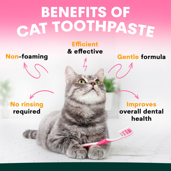 Cat with toothpaste and toothbrush on a pink background with text about cat toothpaste benefits.