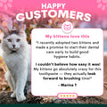 Cat with a testimonial about dental care for kittens on a pink background