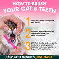 Instructions on how to brush a cat's teeth with a visual of a hand brushing a cat's teeth.