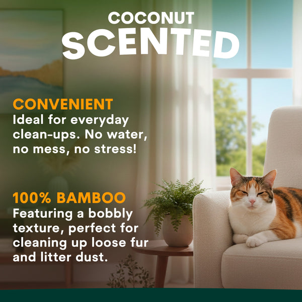 Cat lounging on a couch with coconut scented product text overlay