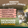 benefits of healthy joints for cats