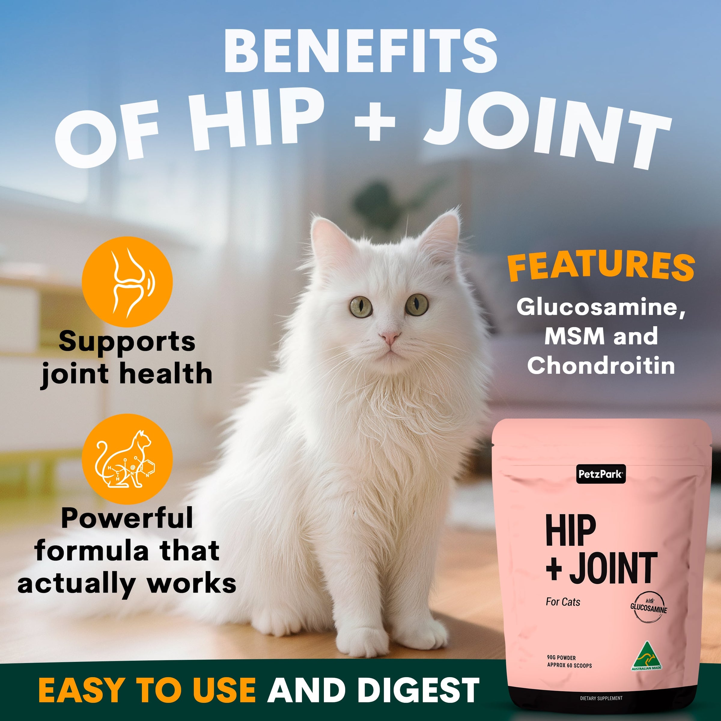 Hip & Joint Supplement for Cats | Arthritis Supplement – Petz Park