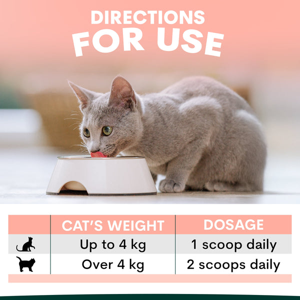 Cat eating from a bowl with dosage instructions displayed below. Petz Park Hip and joint for cats dosage recommendations