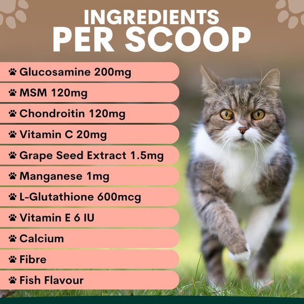 Cat walking outdoors with a list of supplement ingredients per scoop on a pink background