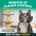 Plaque Control for Cats