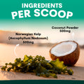 Ingredients per scoop with Norwegian Kelp and Coconut Powder on a beach background. Petz park dental supplements ingredients