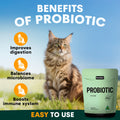 Probiotic for Cats