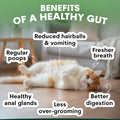 Probiotic for Cats