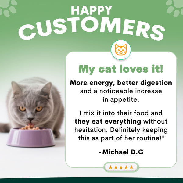 Probiotic for Cats