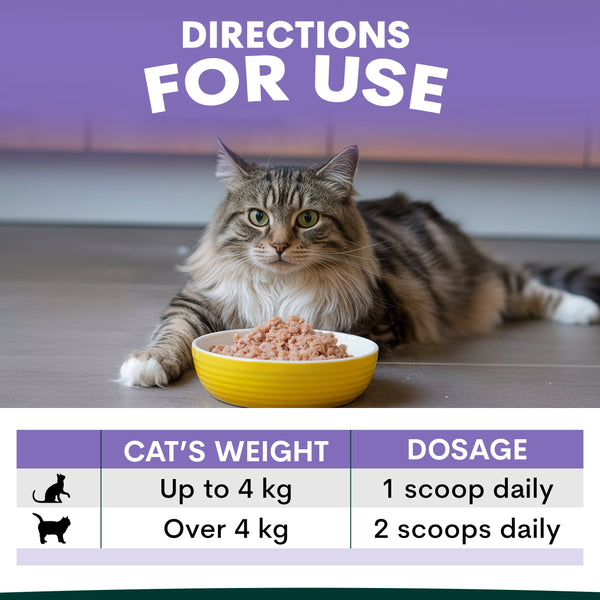 Cat sitting next to a bowl of food with usage instructions on a purple background. Dosage recommendations for cat anxiety supplement