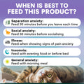Cat lying down with feeding guidelines for anxiety on a purple background. When to feed calming supplement for cats