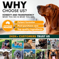 Promotional graphic for a pet product brand with a dog and text about honesty, transparency, and customer trust.
