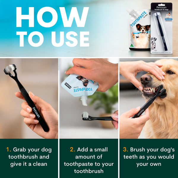 Step-by-step guide on how to use a dog toothbrush and toothpaste with visual instructions.
