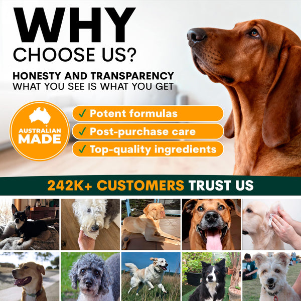 Promotional graphic for a pet product brand with a dog on the right side and text about honesty, transparency, and customer trust.