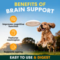 Brain Support for Dogs
